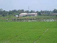 Vietnam 053