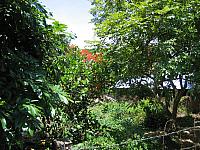 Vietnam 091