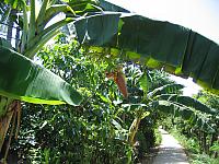 Vietnam 093
