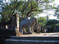 Vietnam 241