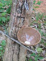 Vietnam 281
