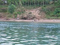 Vietnam 292