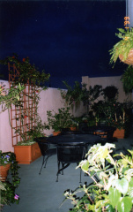 Image 009