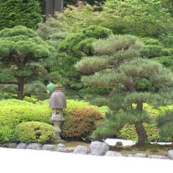 PortlandJapaneseGarden