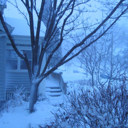 Winter2008