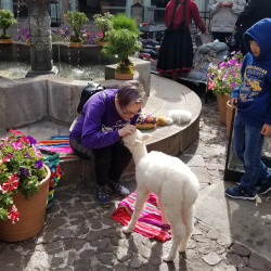 Peru2019