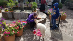 Peru2019