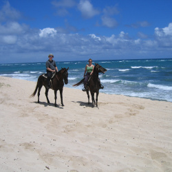hawaii05